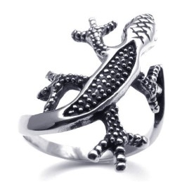 Attractive Design Delicate Colors To Have A Long Story Titanium Ring