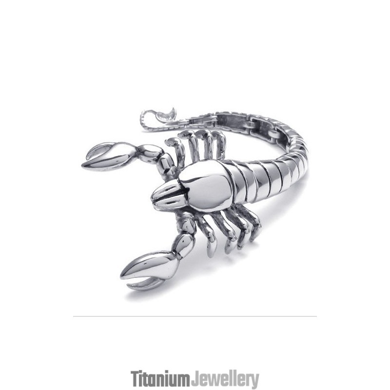 Modern Design Color Brilliancy Superior Quality Titanium Bracelet Modern Design Color Brilliancy Superior Quality Titanium Bracelet