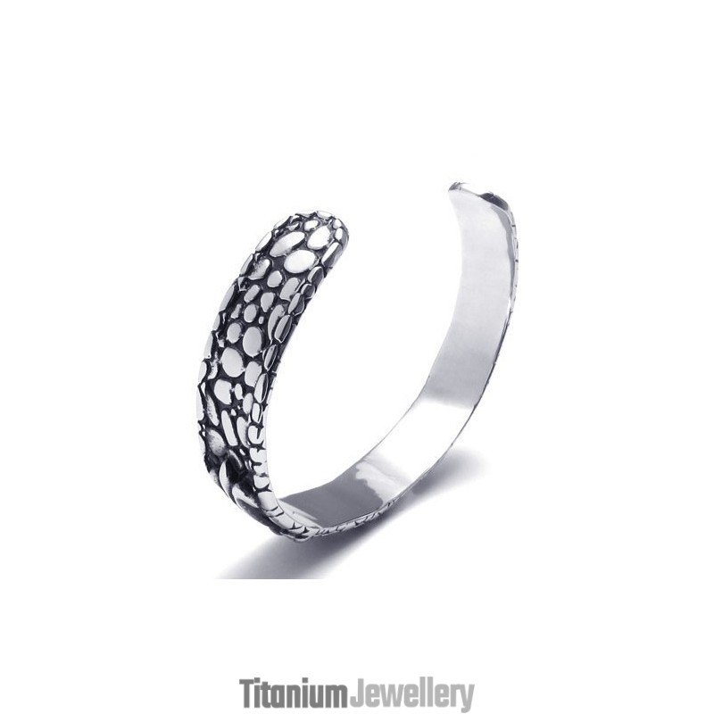 Sophisticated Technology Delicate Colors Excellent Quality Titanium Bangle Sophisticated Technology Delicate Colors Excellent Quality Titanium Bangle