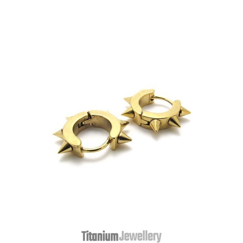 For Your Selection Color Brilliancy Stable Quality Titanium Earrings For Your Selection Color Brilliancy Stable Quality Titanium Earrings