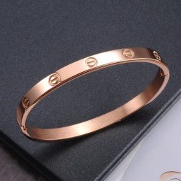Wide Varieties Female Screw Titanium Bangle