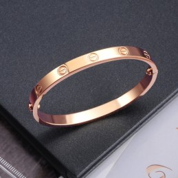 Quality And Quantity Assured Female Screw Titanium Bangle