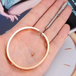 To Have A Long Story Female Titanium Bangle With Rhinestone