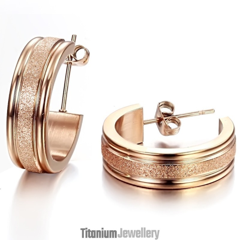 Quality And Quantity Assured Female Scrub Titanium Earrings