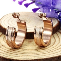 Quality And Quantity Assured Female Scrub Titanium Earrings