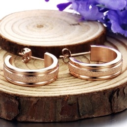 Quality And Quantity Assured Female Scrub Titanium Earrings