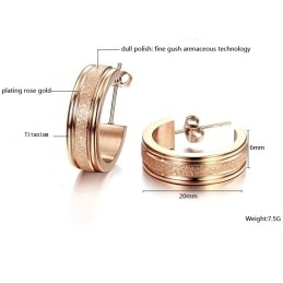 Quality And Quantity Assured Female Scrub Titanium Earrings