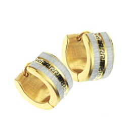 Easy To Use Female Wall Pattern Titanium Earrings