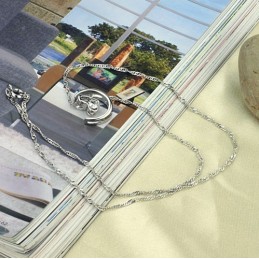 Complete In Specifications Female Platinum Plating Titanium Necklace With Rhinestone