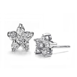 Well-Known For Its Fine Quality Female Allergy Free Platinum Plating Titanium Earrings With Diamond