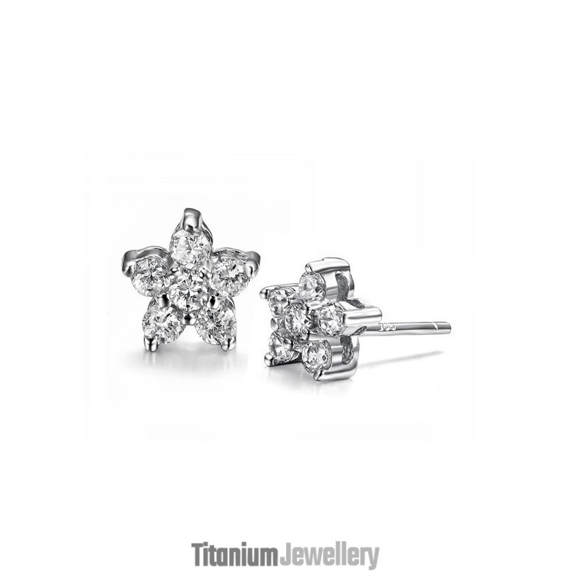 Well-Known For Its Fine Quality Female Allergy Free Platinum Plating Titanium Earrings With Diamond Well-Known For Its Fine Quality Female Allergy Free Platinum Plating Titanium Earrings With Diamond