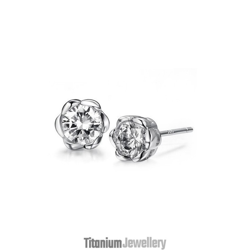 High Quality Female Allergy Free Platinum Plating Titanium Earrings High Quality Female Allergy Free Platinum Plating Titanium Earrings