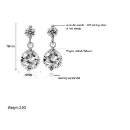 Quality And Quantity Assured Female Allergy Free Platinum Plating Titanium Earrings