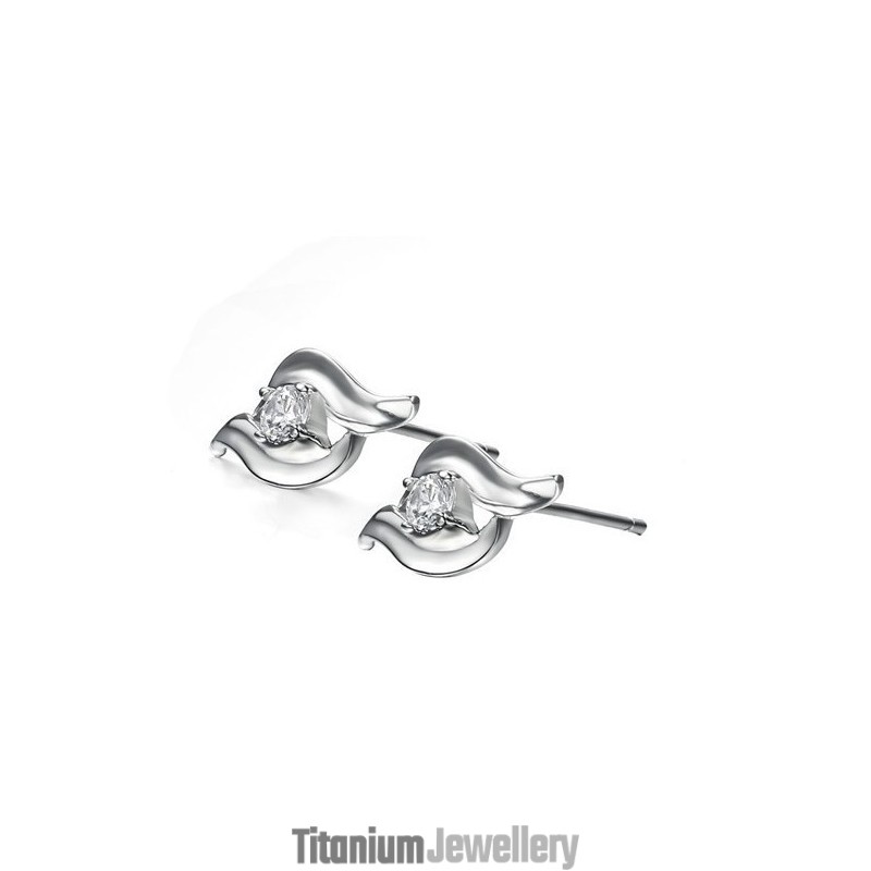High Quality Female Allergy Free Platinum Plating Titanium Earrings High Quality Female Allergy Free Platinum Plating Titanium Earrings