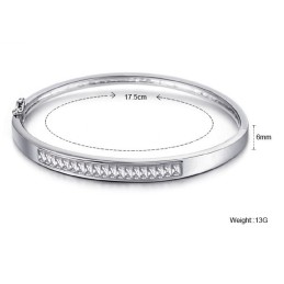 Reliable Quality Female Allergy Free Platinum Plating Titanium Bangle With Diamond