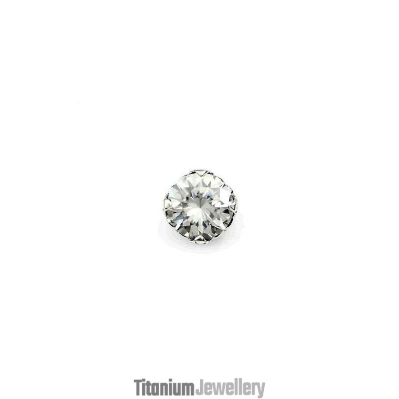 Beautiful Pure Titanium Earrings Beautiful Pure Titanium Earrings