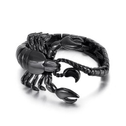 Cool Black Scorpion Titanium Bracelet For Men