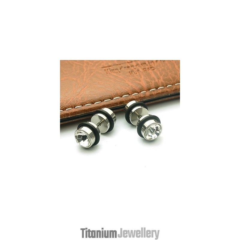 Titanium Diamond Earrings Puncture