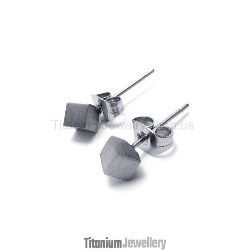 Silver Rose Titanium Earrings Silver Rose Titanium Earrings