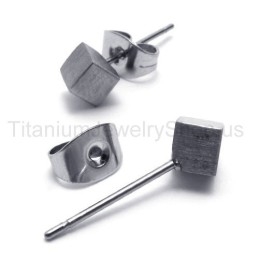 Silver Rose Titanium Earrings