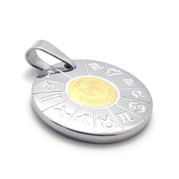Capricorno Titanium Pendant