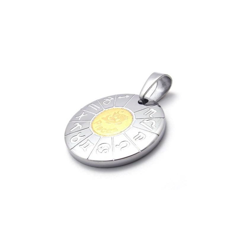 Pisces Titanium Pendant