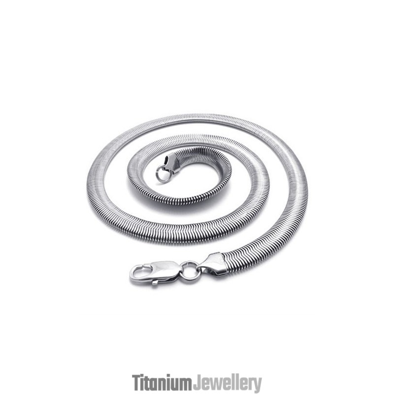 22 Inch Titanium Necklace
