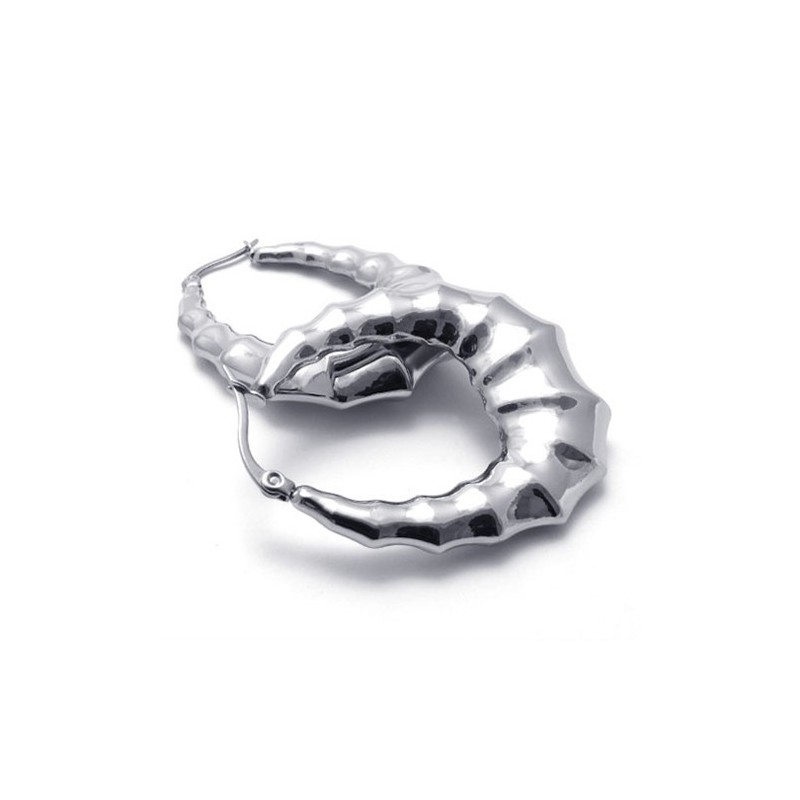 Horn Titanium Earings Horn Titanium Earings