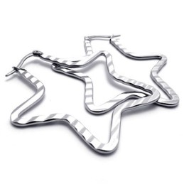 Star Titanium Earrings