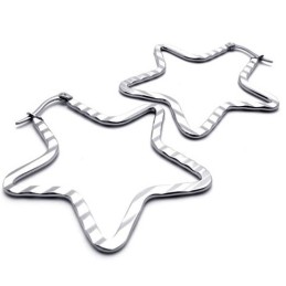 Star Titanium Earrings