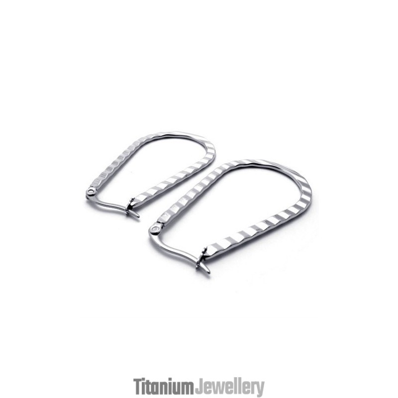 U-Drop Titanium Earrings