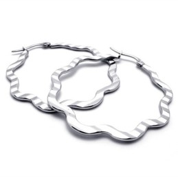 Sweet Titanium Earrings