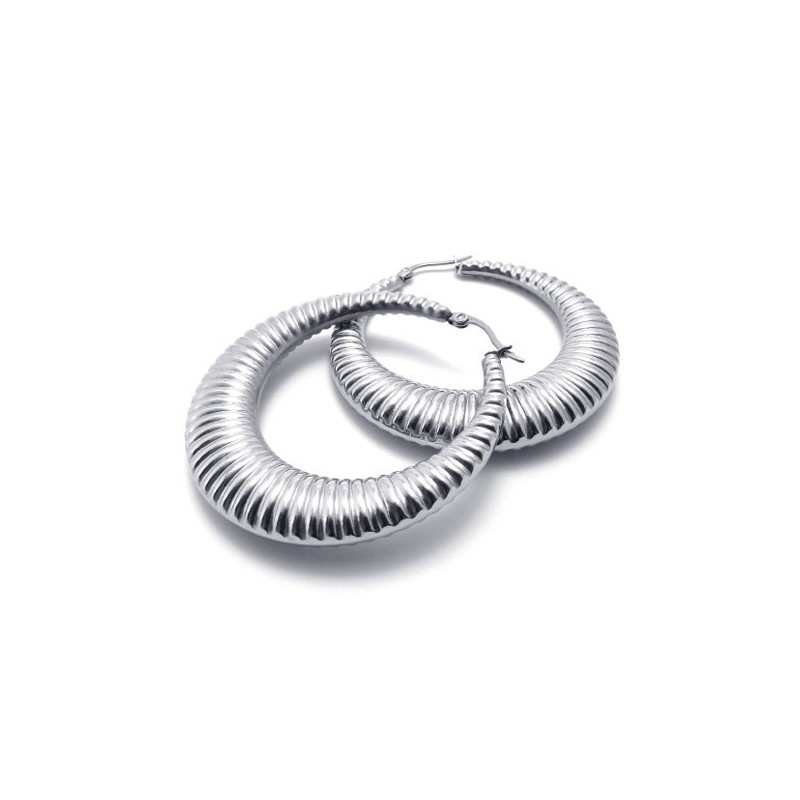Ring Titanium Earrings Ring Titanium Earrings