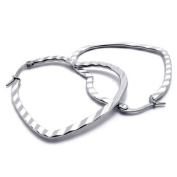 Heart Titanium Earrings