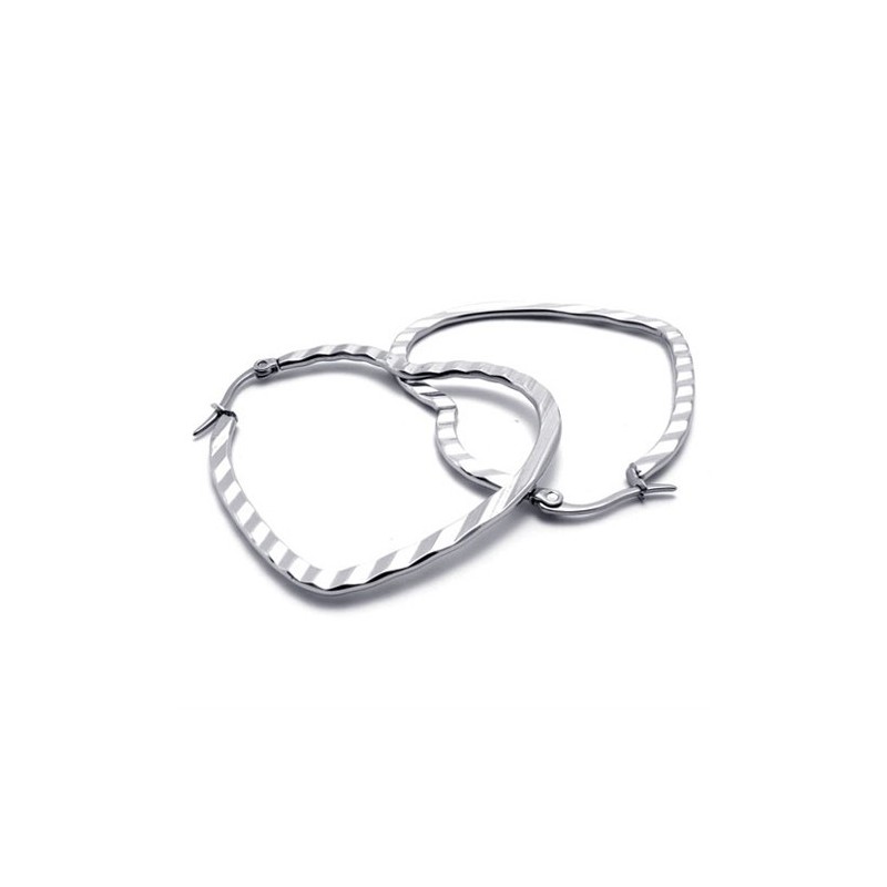 Heart Titanium Earrings Heart Titanium Earrings