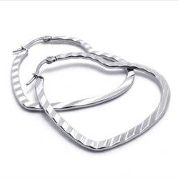Heart Titanium Earrings