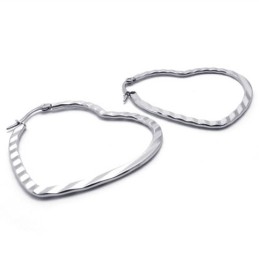 Heart Titanium Earrings