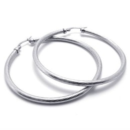 Ring Titanium Earrings