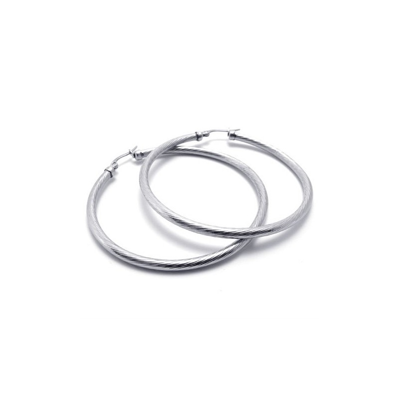 Ring Titanium Earrings