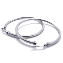 Ring Titanium Earrings