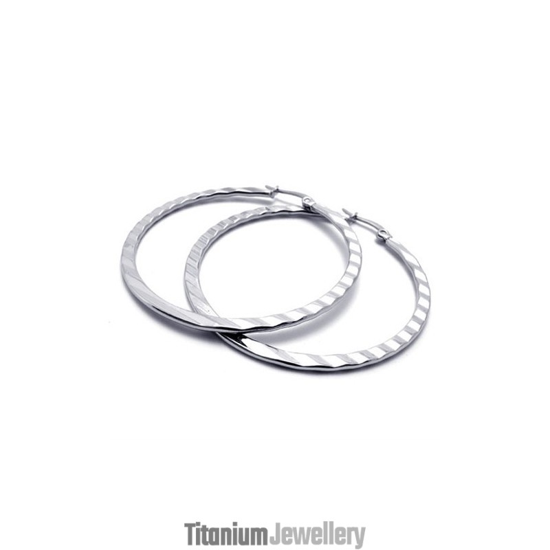 Ring Titanium Earrings Ring Titanium Earrings