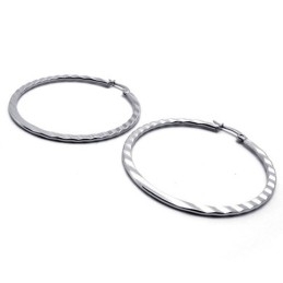 Ring Titanium Earrings